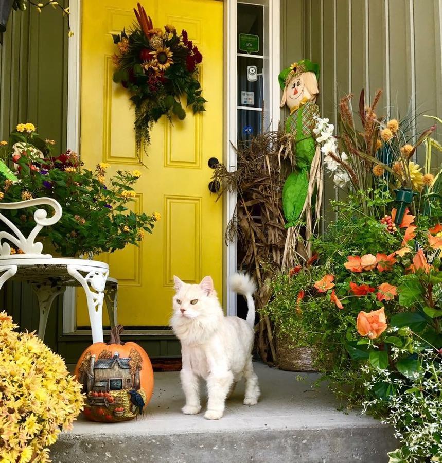 Yellow Door Bed And Breakfast Fort Erie Esterno foto