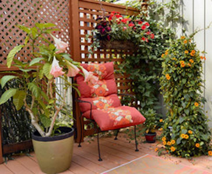 Yellow Door Bed And Breakfast Fort Erie Esterno foto